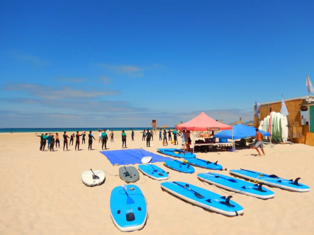 varias tablas de paddle en la playa