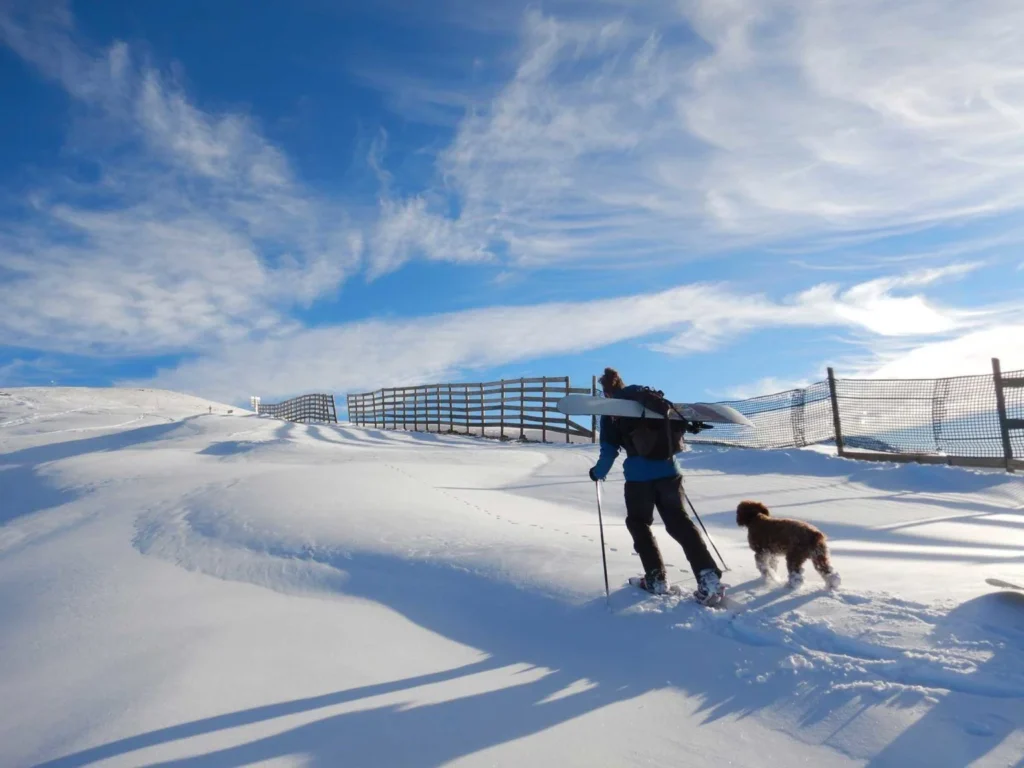 un chico y su perro en la nieve